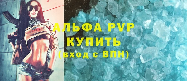 соль ск Дмитриев