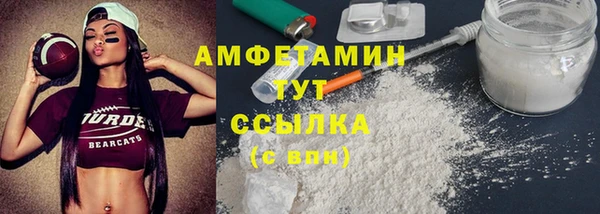 соль ск Дмитриев