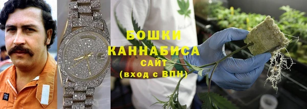 метадон Гусиноозёрск