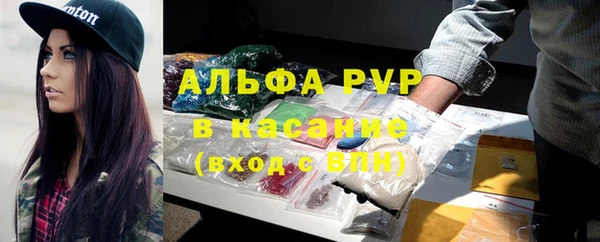 соль ск Дмитриев