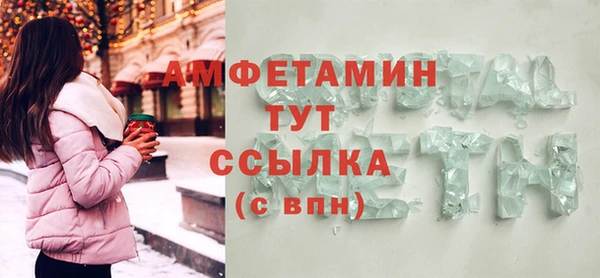 соль ск Дмитриев